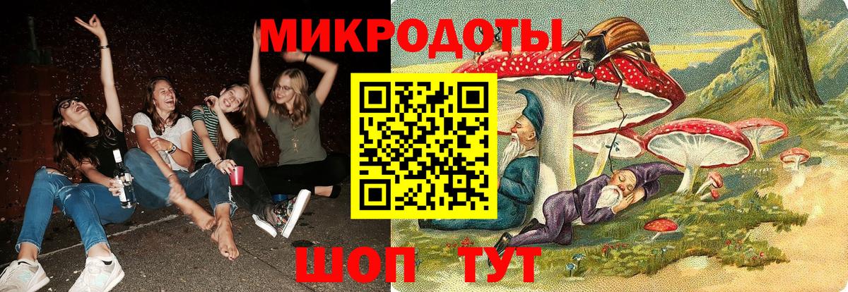 Псилоцибиновые грибы Cubensis Сланцы
